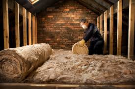 Best Soundproof Insulation  in Roma, TX