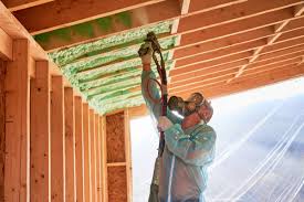 Best Commercial Insulation Services  in Roma, TX