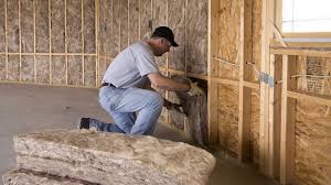 Best Fireproof Insulation  in Roma, TX