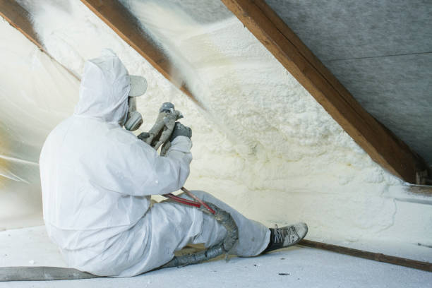 Best Reflective Insulation  in Roma, TX